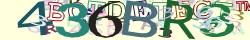CAPTCHA picture tooltip