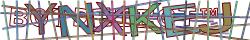CAPTCHA picture tooltip
